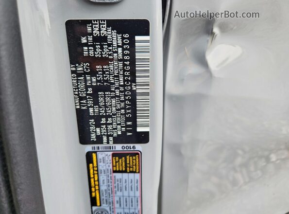 5XYP5DGC2RG489306 2024 KIA TELLURIDE Gray Vista del compartimento del motor