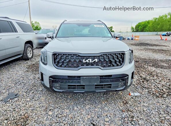 5XYP5DGC2RG489306 2024 KIA TELLURIDE Gray Vista frontal