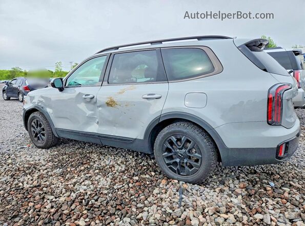 5XYP5DGC2RG489306 2024 KIA TELLURIDE Gray Trasero izquierdo