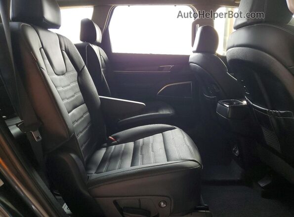 5XYP5DGC2RG491783 2024 KIA TELLURIDE Серый Вид задней части салона