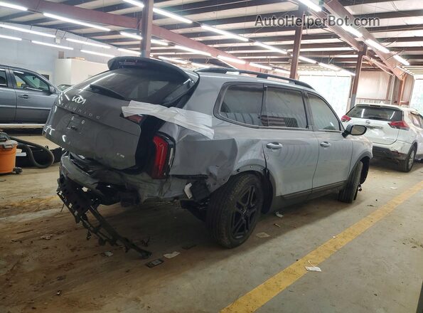5XYP5DGC2RG496742 2024 KIA TELLURIDE Gray Tył prawy