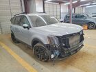 2024 Kia Telluride Sx-prestige X-line Gray vin: 5XYP5DGC2RG496742