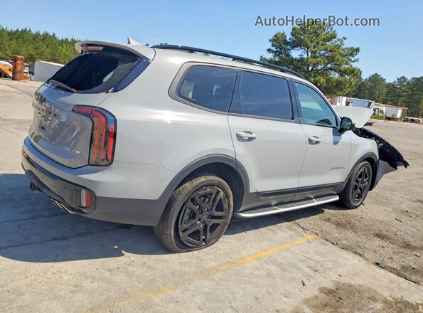 5XYP5DGC4SG623903 2025 KIA TELLURIDE Gray უკანა მარჯვენა