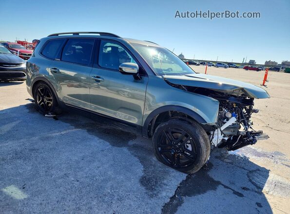 5XYP5DGC4SG696351 2025 KIA TELLURIDE Зеленый Передняя правая четверть