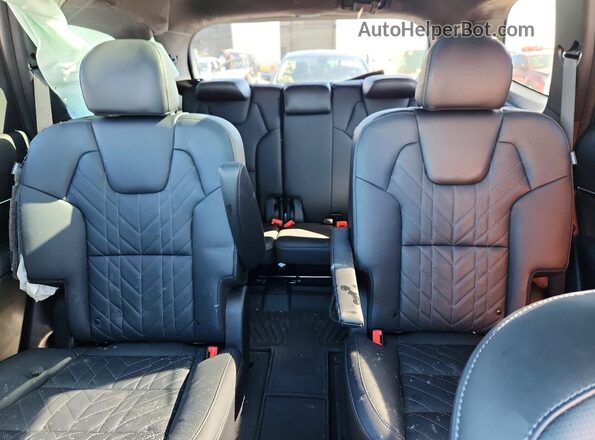 5XYP5DGC4SG696351 2025 KIA TELLURIDE Зеленый Вид задних сидений
