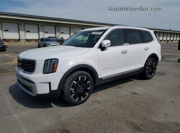 5XYP5DGC5RG413210 2024 KIA TELLURIDE Белый Передняя левая четверть