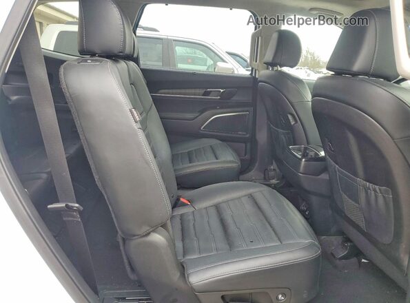 5XYP5DGC5RG413210 2024 KIA TELLURIDE Белый Вид задней части салона