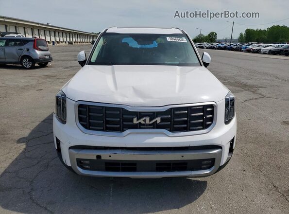 5XYP5DGC5RG413210 2024 KIA TELLURIDE Белый Вид спереди