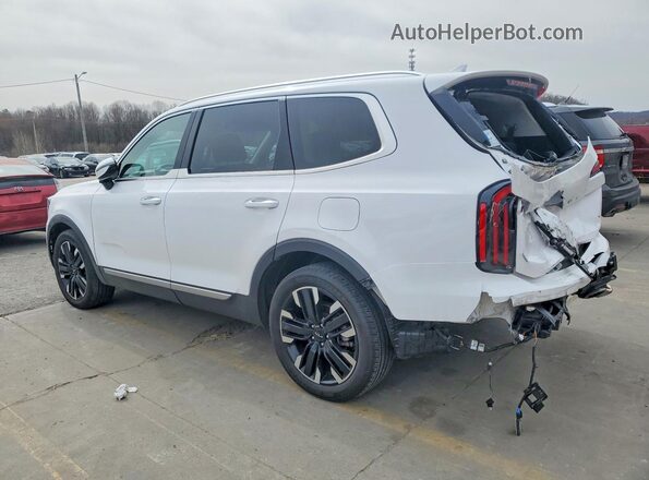 5XYP5DGC5RG413210 2024 KIA TELLURIDE Белый Задняя левая четверть