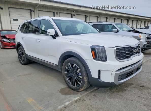 5XYP5DGC5RG413210 2024 KIA TELLURIDE Белый Передняя правая четверть