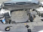 2024 Kia Telluride Sx-prestige Белый vin: 5XYP5DGC5RG413210