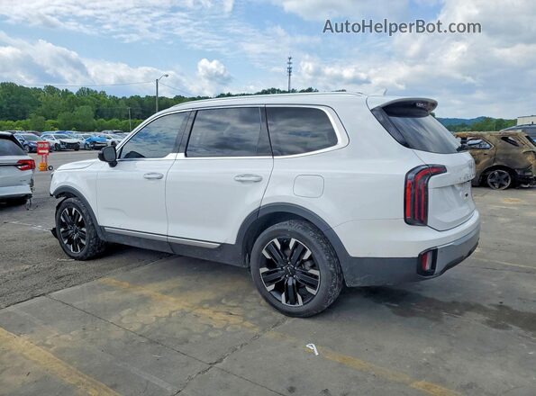 5XYP5DGC7RG441705 2024 KIA TELLURIDE White Tył lewy