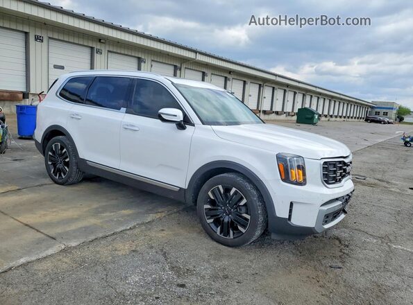 5XYP5DGC7RG441705 2024 KIA TELLURIDE White Przód prawy