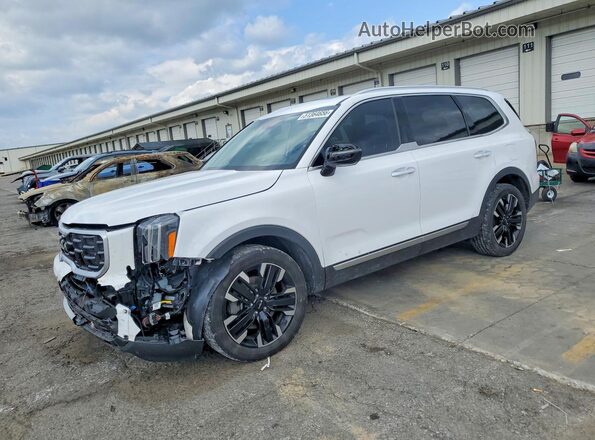 5XYP5DGC7RG441705 2024 KIA TELLURIDE White Przód lewy