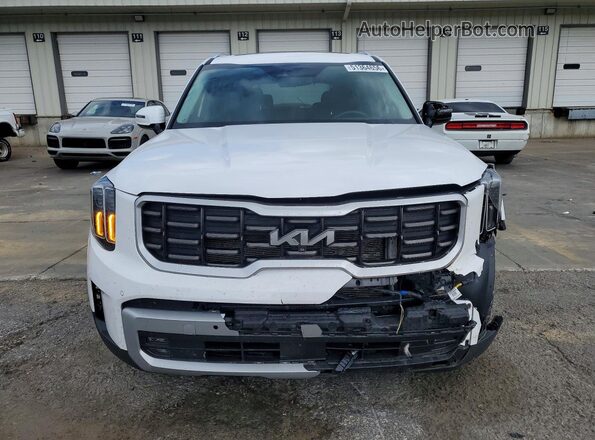 5XYP5DGC7RG441705 2024 KIA TELLURIDE White Widok z przodu