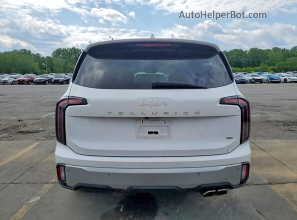 5XYP5DGC7RG441705 2024 KIA TELLURIDE White Widok z tyłu
