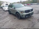 2024 Kia Telluride Sx X-pro Green vin: 5XYP5DGC8RG461204