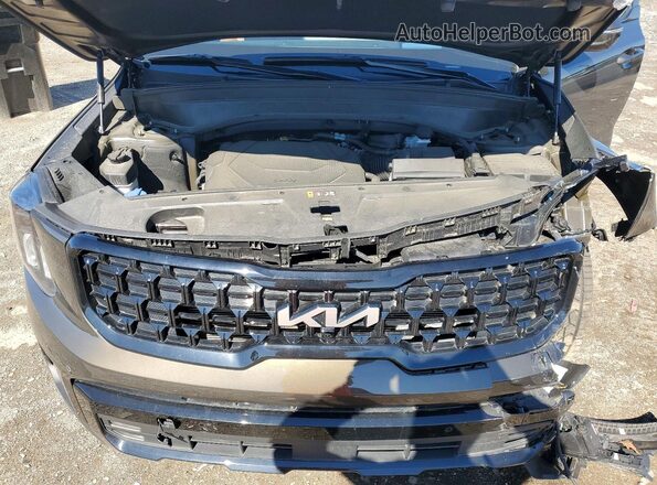5XYP5DGC8RG474664 2024 KIA TELLURIDE Brown ძრავის განყოფილების ხედი