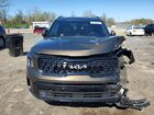 2024 Kia Telluride Brown vin: 5XYP5DGC8RG474664