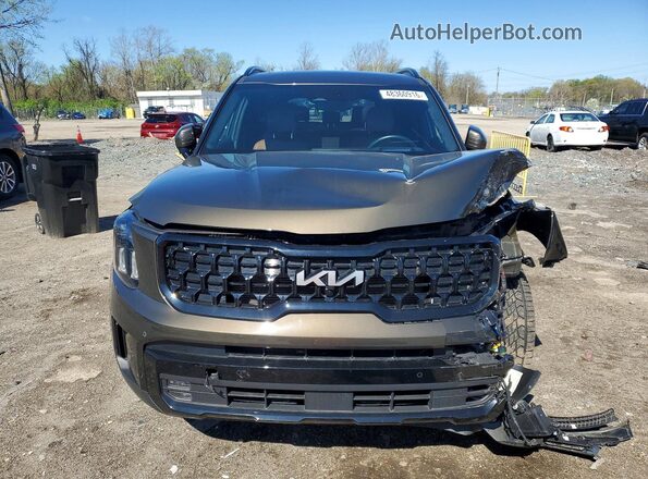 5XYP5DGC8RG474664 2024 KIA TELLURIDE Brown წინა ხედი