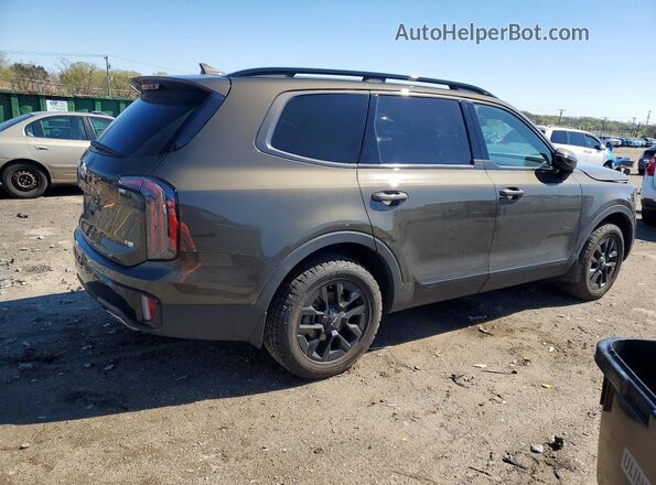 5XYP5DGC8RG474664 2024 KIA TELLURIDE Brown უკანა მარჯვენა