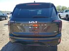 2024 Kia Telluride Brown vin: 5XYP5DGC8RG474664