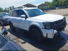 2024 Kia Telluride Sx X-pro White vin: 5XYP5DGC9RG522429