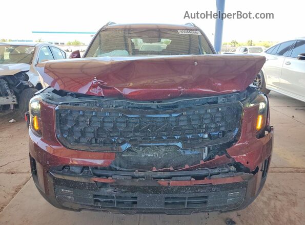 5XYP5DGC9RG546469 2024 KIA TELLURIDE Бордовый Вид спереди