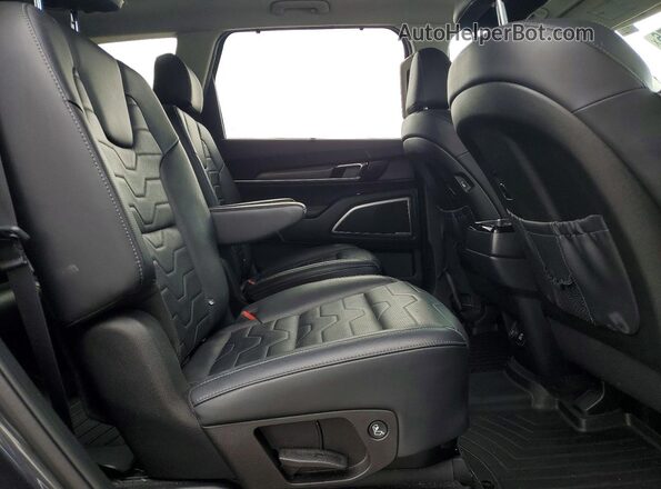 5XYP5DHC3LG061489 2020 KIA TELLURIDE Угольный Вид задней части салона