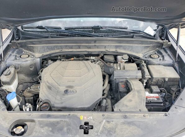 5XYP5DHC3LG061489 2020 KIA TELLURIDE Угольный Вид подкапотного пространства