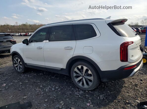 5XYP64HC0LG008424 2020 KIA TELLURIDE Белый Задняя левая четверть