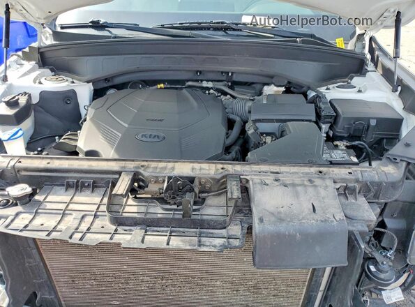 5XYP64HC0LG008424 2020 KIA TELLURIDE Белый Вид задней части салона
