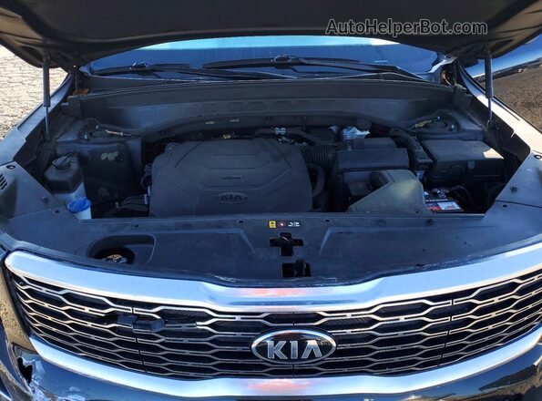 5XYP64HC0LG050446 2020 KIA TELLURIDE Угольный Вид подкапотного пространства