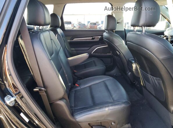 5XYP64HC0LG050446 2020 KIA TELLURIDE Угольный Вид задней части салона