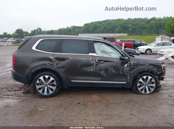 5XYP64HC5LG032959 2020 KIA TELLURIDE Коричневый Вид задней части салона