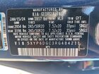 2024 Kia Telluride S Синий vin: 5XYP6DGC3RG484211