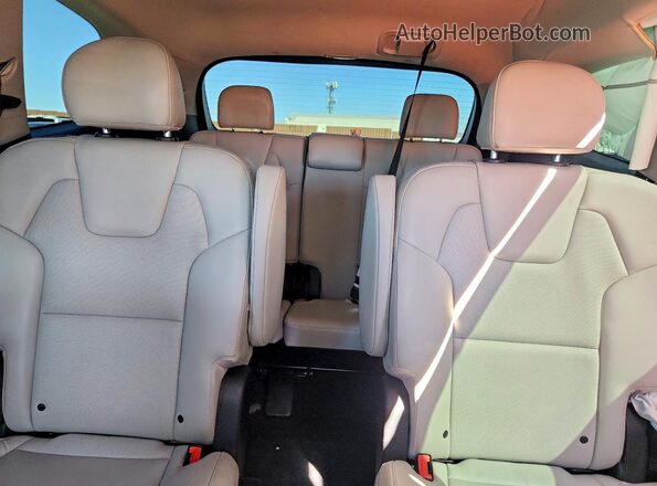 5XYP6DGC3RG484211 2024 KIA TELLURIDE Синий Вид задних сидений
