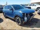 2024 Kia Telluride S Blue vin: 5XYP6DGC3RG492664