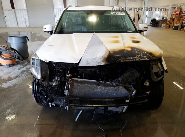 5XYP6DGC4RG483438 2024 KIA TELLURIDE White Widok z przodu