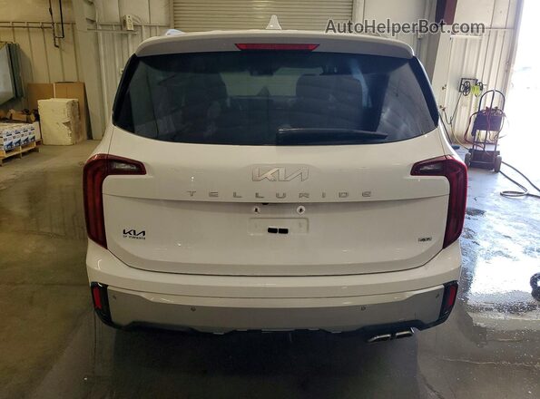 5XYP6DGC4RG483438 2024 KIA TELLURIDE White Widok z tyłu