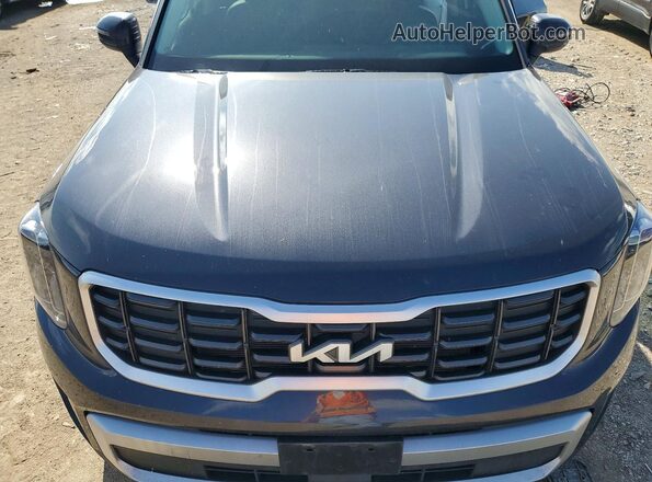 5XYP6DGC4SG665940 2025 KIA TELLURIDE Черный Вид задней части салона