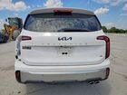 2024 Kia Telluride S White vin: 5XYP6DGC7RG465970