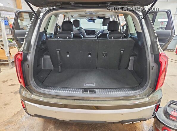 5XYP6DGC7RG496832 2024 KIA TELLURIDE Brown Rear view