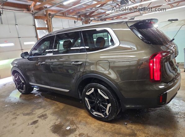 5XYP6DGC7RG496832 2024 KIA TELLURIDE Brown Rear left