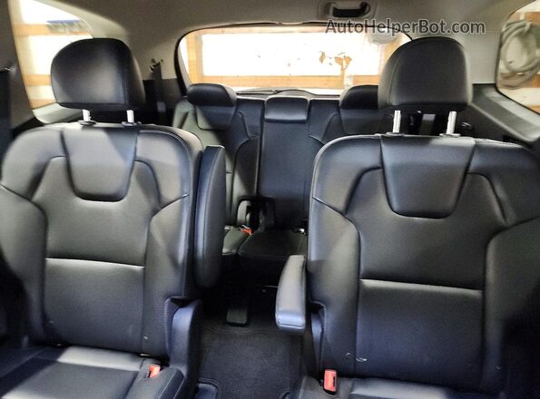 5XYP6DGC7RG496832 2024 KIA TELLURIDE Brown Rear seats view
