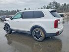 2024 Kia Telluride S White vin: 5XYP6DGC7RG544863