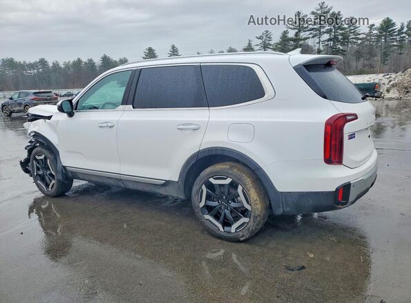 5XYP6DGC7RG544863 2024 KIA TELLURIDE White Tył lewy