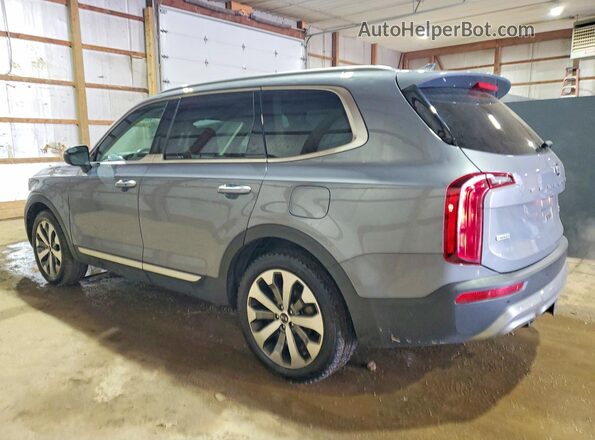 5XYP6DHC4LG094689 2020 KIA TELLURIDE Silver უკანა მარცხენა