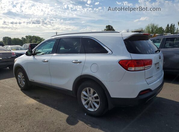 5XYPGDA52GG025532 2016 KIA SORENTO Белый Задняя левая четверть