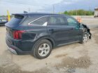 2024 Kia Sorento Lx Black vin: 5XYRG4JC1RG290081